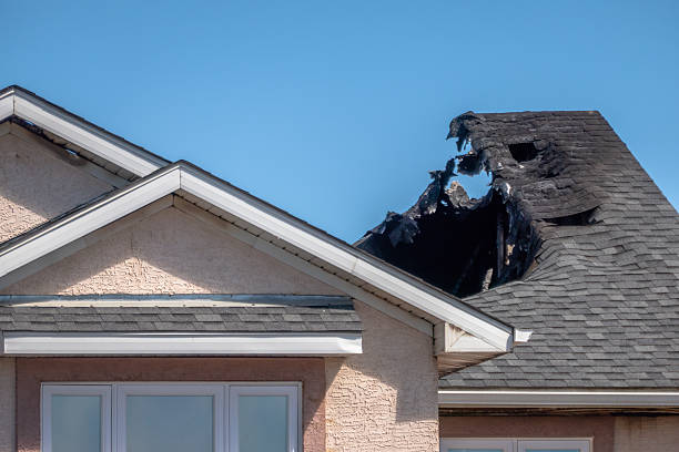 Top rated local Fire Damage Removal specialists in Marlton, MD